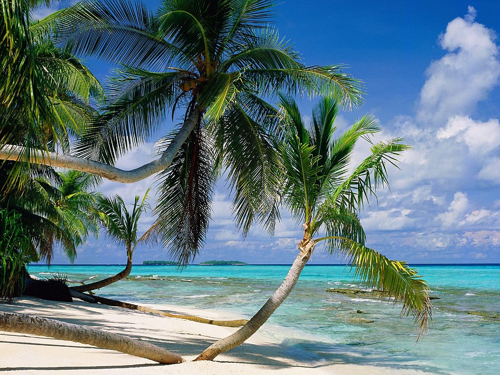 Tepuka Island, Tuvalu